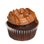Sea Salt Chocolate on Chocolate
