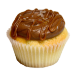 Sea Salt Chocolate on Vanilla
